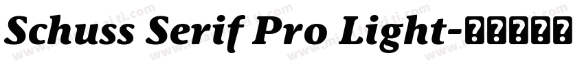 Schuss Serif Pro Light字体转换